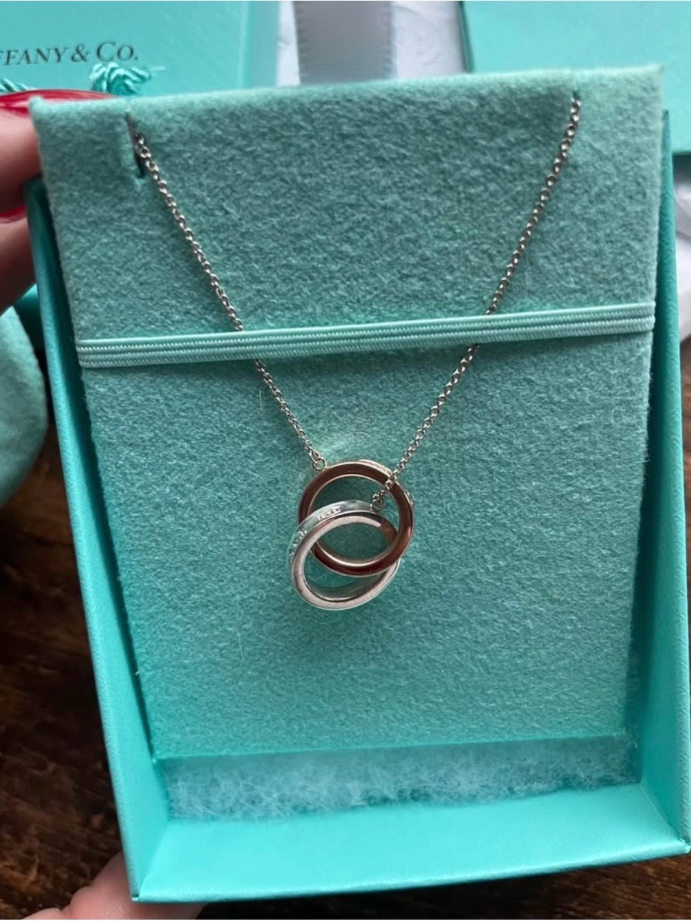 Tiffany & Co. Silver and Rose Gold Interlocking Circle Necklace